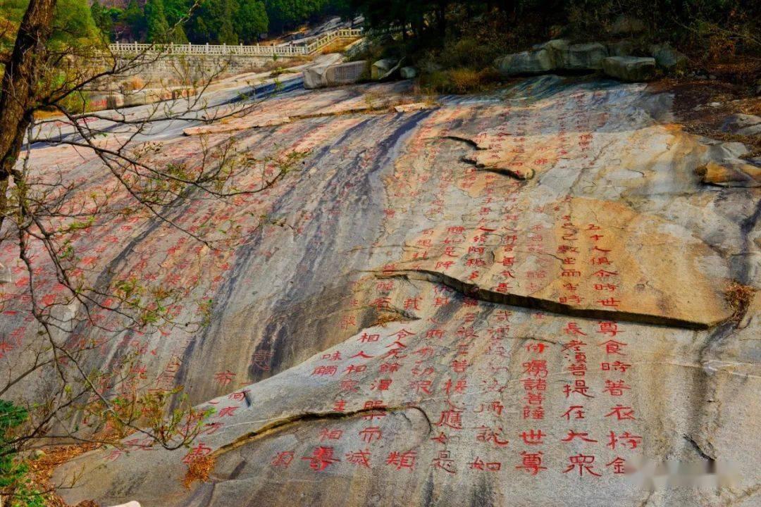 亚洲杯已提前出线4队：卡塔尔、澳大利亚、伊朗、伊拉克